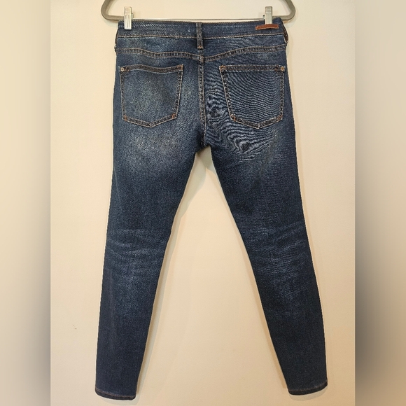 Pilcro and The Letterpress Anthropologie Mid-Rise Skinny Jean •Size 28• No Holes - Picture 2 of 10